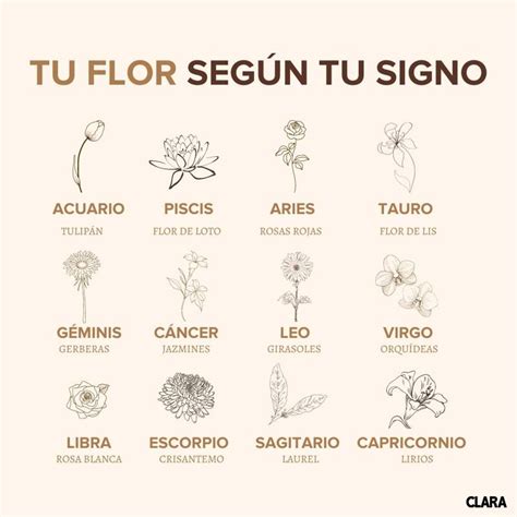 ¿cuál Es Tu Flor De La Suerte Según Tu Signo Del Zodiaco