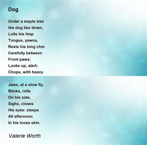 Dog Dog Poem By Valerie Worth