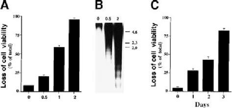 Figure From Histone Deacetylase Inhibitors Suppress Il Mediated