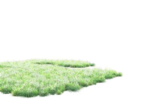 Grass Transparent Background PNGs for Free Download