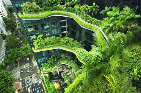 المساحة الخضراء Green Building True Developments