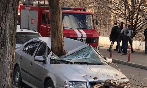 VIDEO O creangă groasă a căzut peste un automobil care era parcat pe o