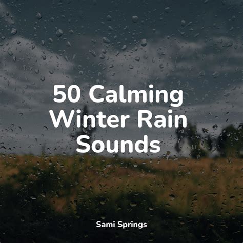 50 Calming Winter Rain Sounds Album By Rainforest Spotify