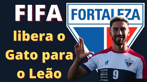 Lucero FIFA libera o Gato para jogar pelo Leão rivais em pânico