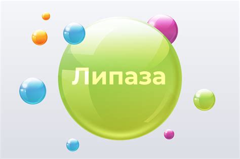 Липаза: что это такое, и для чего организму нужно? - Consumed