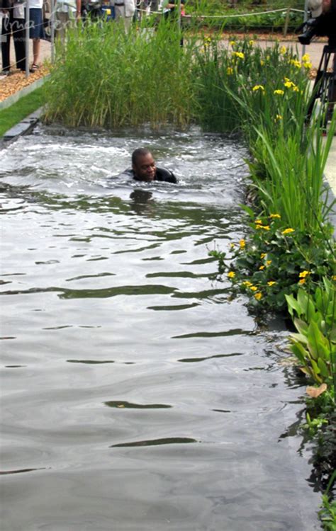 Chelsea Flower Show Elma Fenton Landscape Design