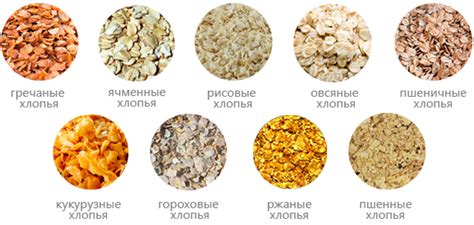 Выбираем полезный сухой завтрак - Nils Blog