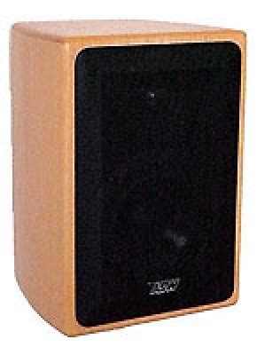 Тыловая акустика ASW Opus M