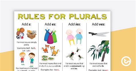 Rules For Plurals S Es Ies Ves Plurals Plural Form Of Nouns