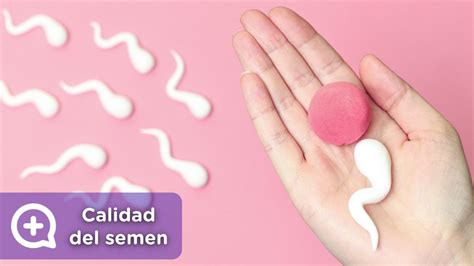 Consejos Para Mejorar La Calidad Del Semen Mediquo