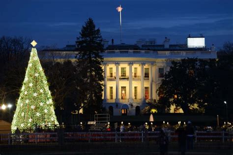 The History of Christmas Lights & Who Invented Christmas Lights