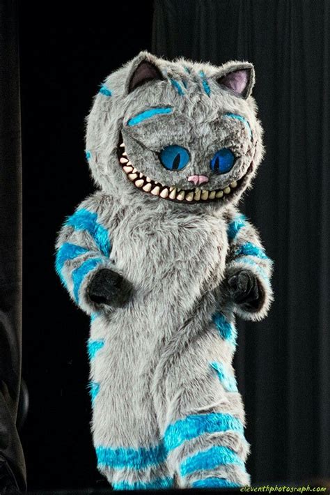 Cheshire Cat From Tim Alice In Wonderland Characters Alice In