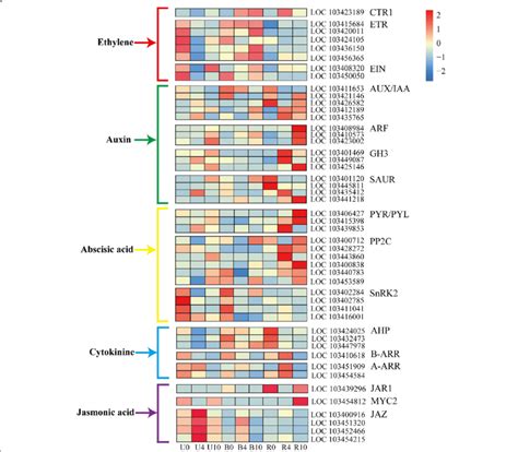 Degs Mapped To Plant Hormone Signal Transduction Pathways In The Kegg