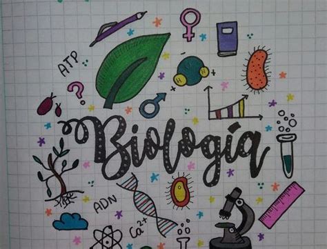 Capas Para Trabalho De Biologia Cynthia Brainy Breese