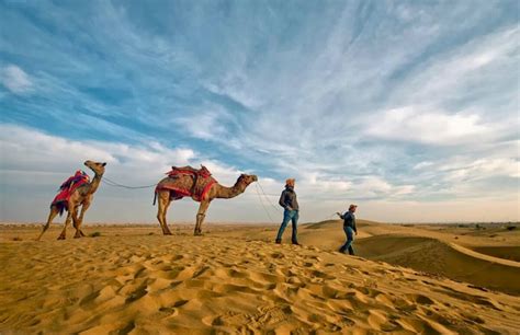 Best Camel Safari In Jaisalmer Camel Safari Sam Sand Dunes