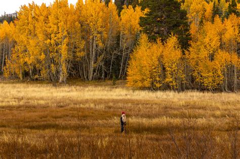 Best Spots to See Fall Foliage in Lake Tahoe - Catherine Chicotka