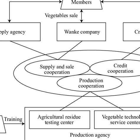 Meiyus Trinity Supply Chain Model Download Scientific Diagram