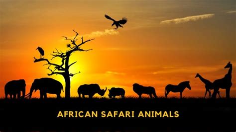 30 African Safari Animals You Need To See (With Pictures)