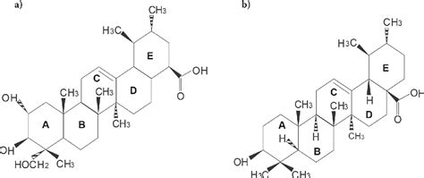 Pdf Anti Enterococcal Activities Of Pentacyclic Triterpenes