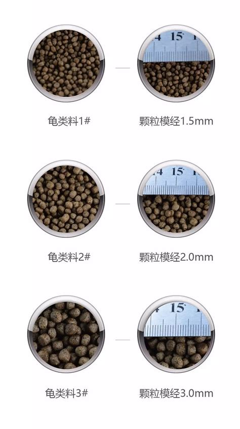 农顺科牌龟类配合饲料农顺科牌系列水产料精品饲料产品服务旺海精品生物科技集团