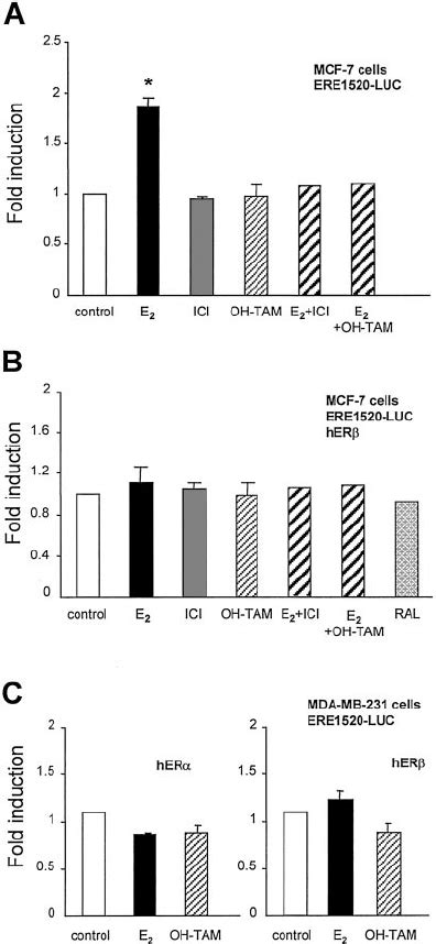 Transcriptional Activity Mediated By Ere1520 In Breast Cancer Cells A