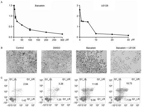 Frontiers Fra Inhibits Cell Growth And The Warburg Effect