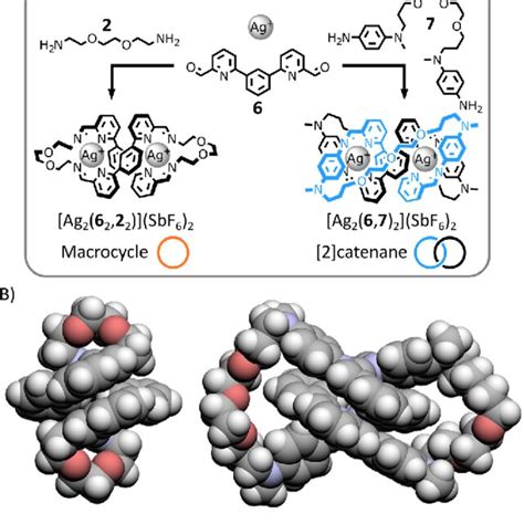 A Self Assembly Of Macrocycle Ag2 62 22 2 And 2 Catenane