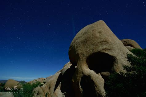 The Night Sky of Joshua Tree National Park - California Photo Gallery