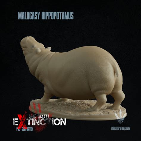 3D Printable Malagasy hippopotamus : Looking up by Miniature Museum