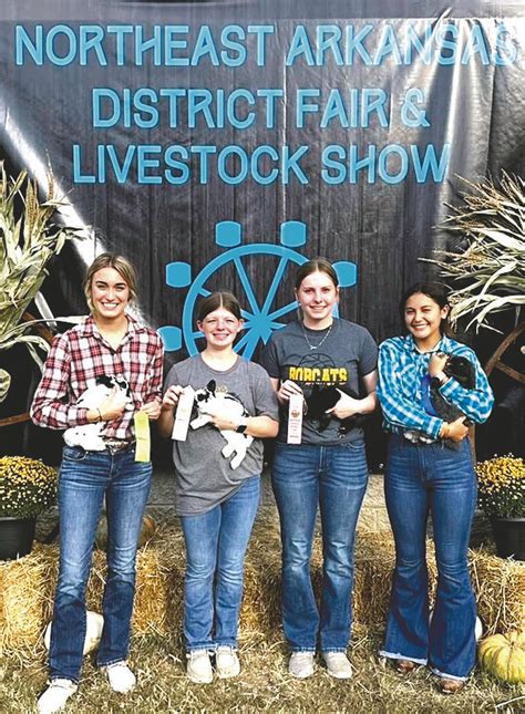 Corning Ffa Shines At Nea District Fair Rabbit Show Clay County Courier