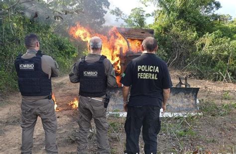 Pf Deflagra Novas Operações Contra Crimes Ambientais No Maranhão