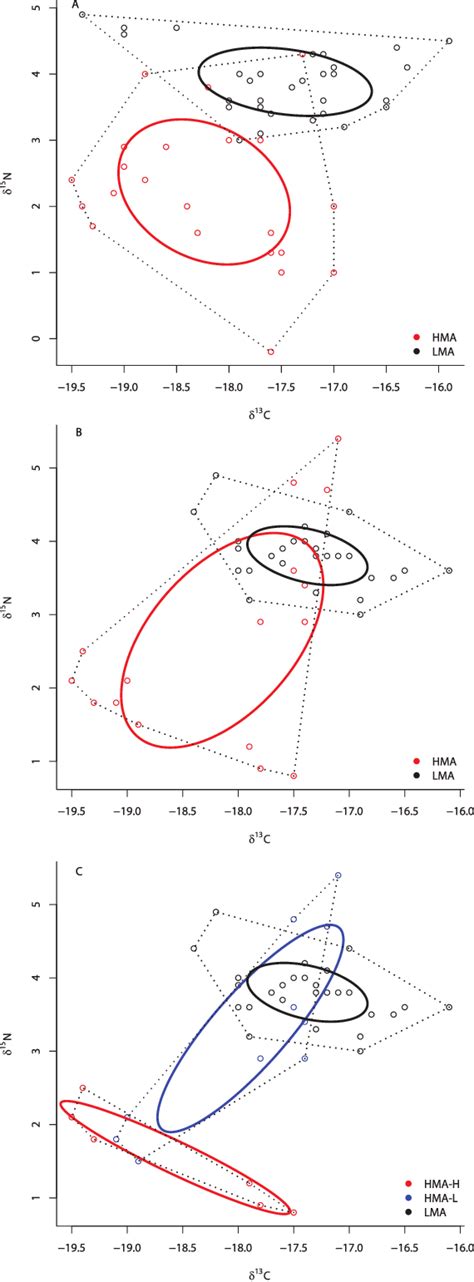 Bivariate C And N Plot Depicting The Placement Of Hma And Lma