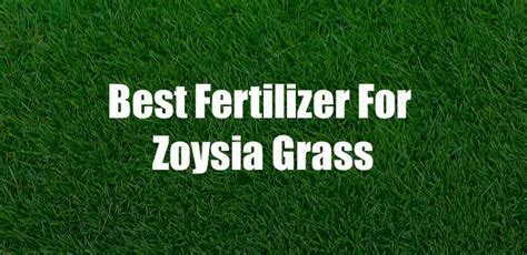 10 Best Fertilizer For Zoysia Grass 2023 [reviews And Guide]