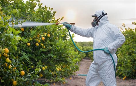 Pesticidi In Frutta E Verdura Quali Sono Conseguenze Per La Salute