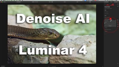 How To Use Denoise Ai As A Luminar Plugin Youtube