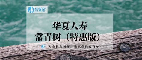 华夏常青树特惠版有哪些弊端？升级后值得买吗？ 知乎