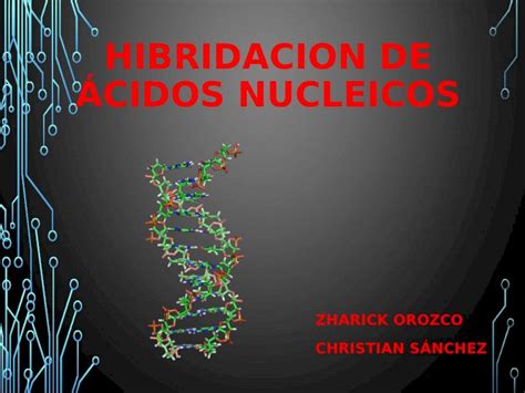 Pptx Hibridacion De Acidos Nucleicos Dokumen Tips