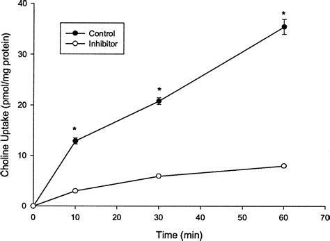 Choline Uptake In Human Intestinal Caco Cells Is Carrier Mediated