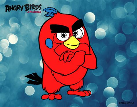 Dibujo De Red De Angry Birds Pintado Por En El Día 10 05 16