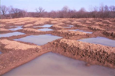 Ecological Restoration | Services - Ecological Garden Design - Natvik ...