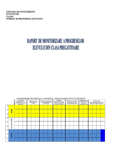 PDF Raport De Monitorizare DOKUMEN TIPS