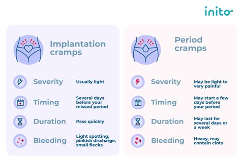 When Does Implantation Occur