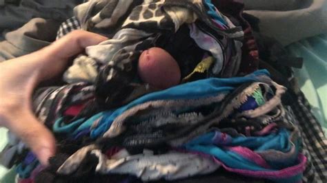 My Cock Covered In 32 Pairs Of Brittanys Dirty Panties Gay Porn XHamster