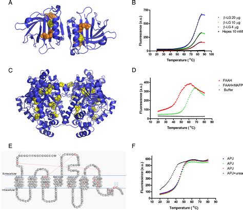 Microscale Fluorescent Thermal Stability Assay For Membrane Proteins