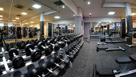 Todo Lo Que Hay Que Tener En Cuenta Al Elegir Gimnasio Gayperu Entretenimiento Gay