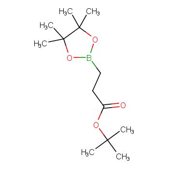 Tert Butyl Tetramethyl Dioxaborolan Yl H