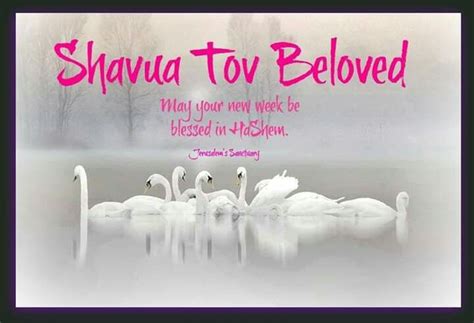 Pin By Freedom On Shavua Tov Shavua Tov Shabbat Shalom Place Card