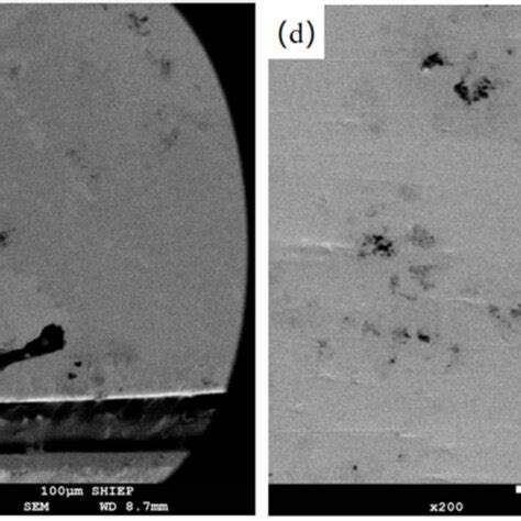 Microstructure of AlSi10Mg alloy formed by SLM: (a) 310 W Scanning ...