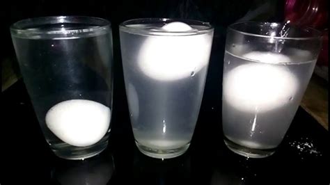 Make An Egg Float In Water Experiment