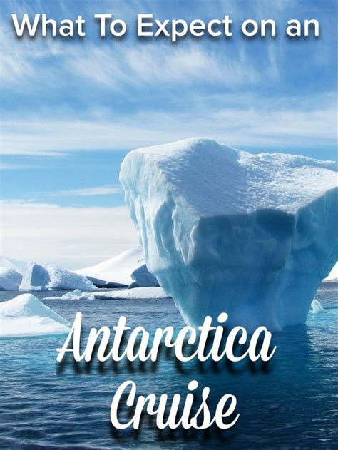 G Adventures Antarctica Classic Review | Flight of the Educator | Antarctica cruise, Antarctica ...